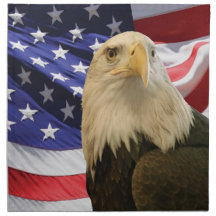 Águila y bandera de los Estados Unidos
