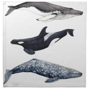 Servilleta De Tela Orca, ballena jorobada y ballena gris