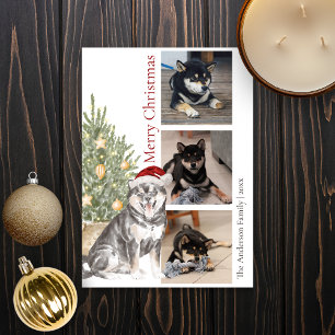 Sesame Shiba Inu Mascota de árbol de Navidad