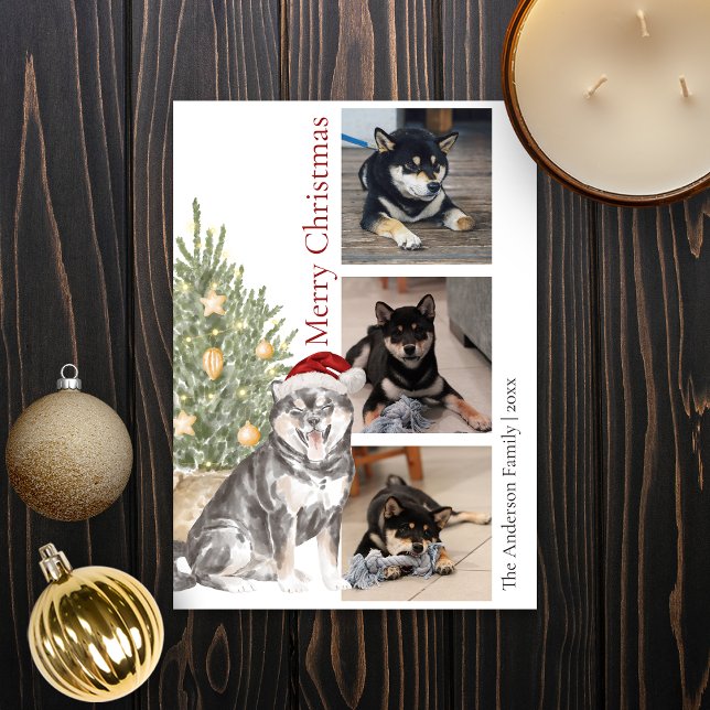 Sesame Shiba Inu Mascota de árbol de Navidad (Subido por el creador)