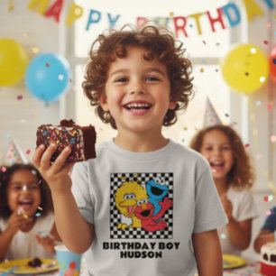 Sesame Street Pals Checkered Birday Boy