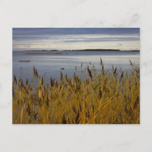 Sescape de la postal Ostrobothnia CC0076