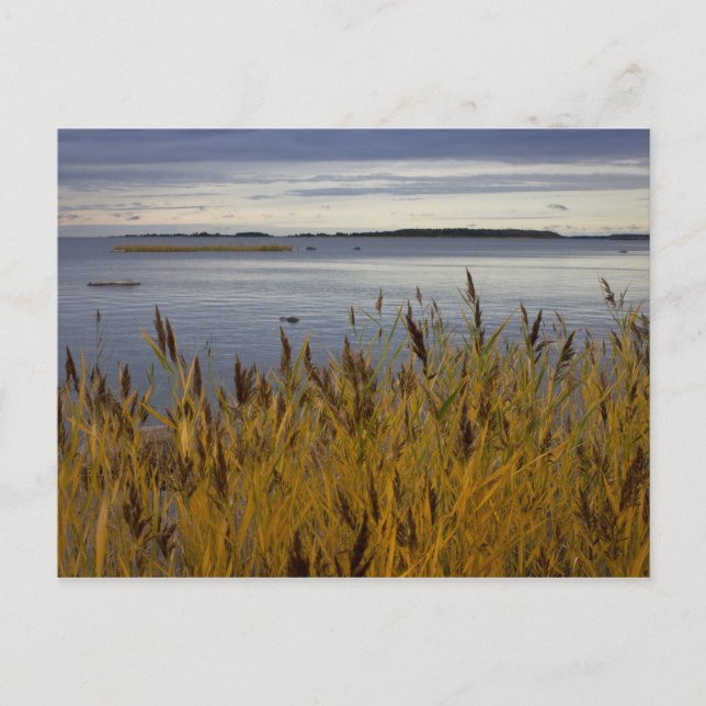 Sescape de la postal Ostrobothnia CC0076 (Anverso)