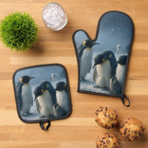 Antártida, grupo de pingüinos emperadores, familia