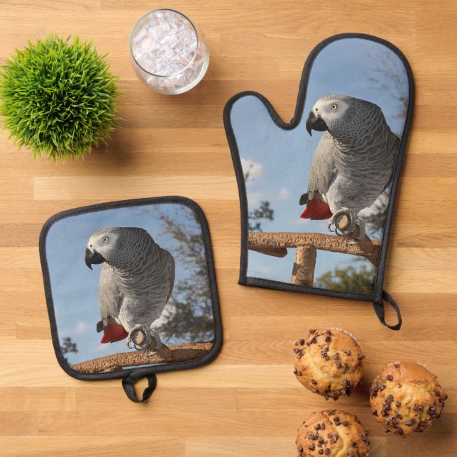 Set De Manoplas Asombroso loro gris africano (De arriba hacia abajo)