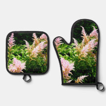 Astilbe