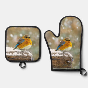 Set De Manoplas Azulillo Oriental en Tormenta de Nieve Fotografía 