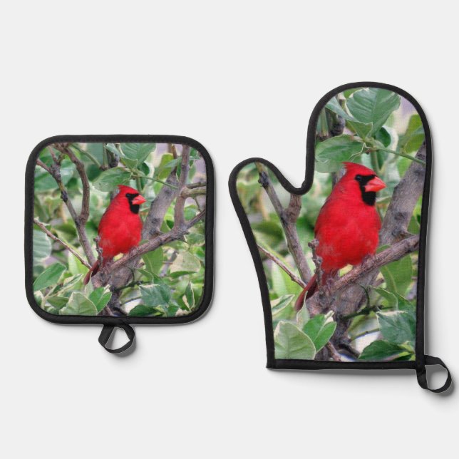 Set De Manoplas Cardinal - Serie de aves traseras - (Anverso)