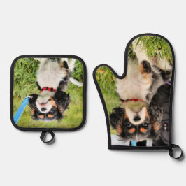 Set De Manoplas Cavalier