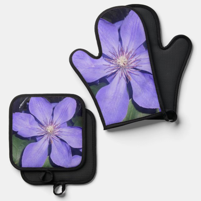 Set De Manoplas Cé sarine (Anverso/Reverso)