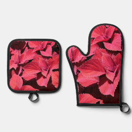 Set De Manoplas Coleus Close-up
