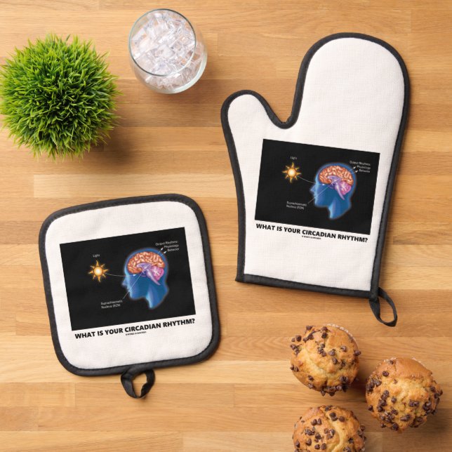 Set De Manoplas ¿Cuál Es Tu Ritmo Circadiano? (De arriba hacia abajo)