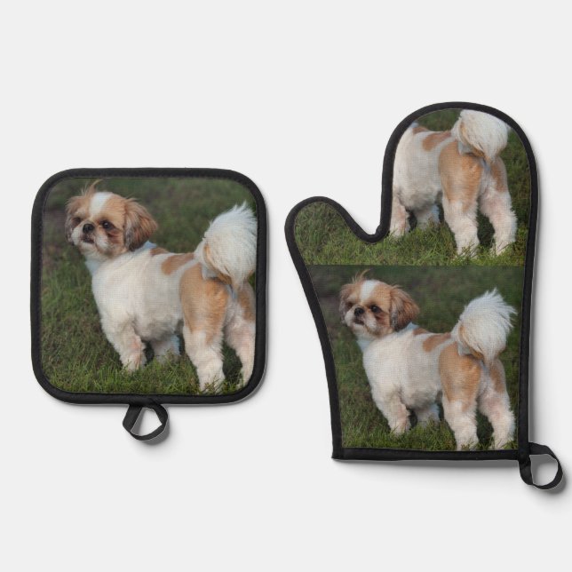 Set De Manoplas Cutest Shih Tzu (Anverso)