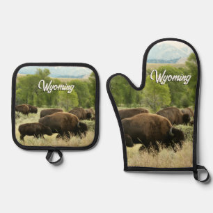 Set De Manoplas Fotografía de animales de la naturaleza del bisont