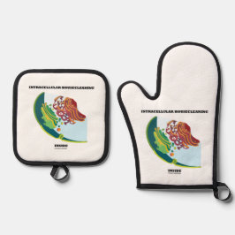 Set De Manoplas Hogar intracelular dentro de la endomembrana