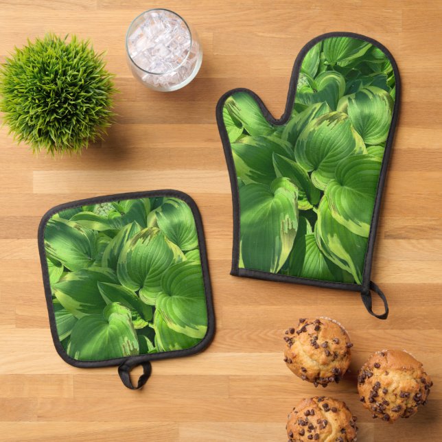 Set De Manoplas Hostas (De arriba hacia abajo)