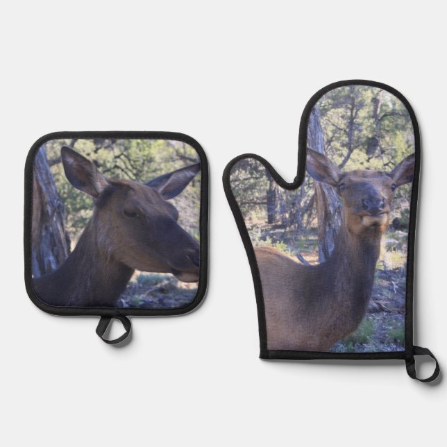 Set De Manoplas Moose (Anverso)