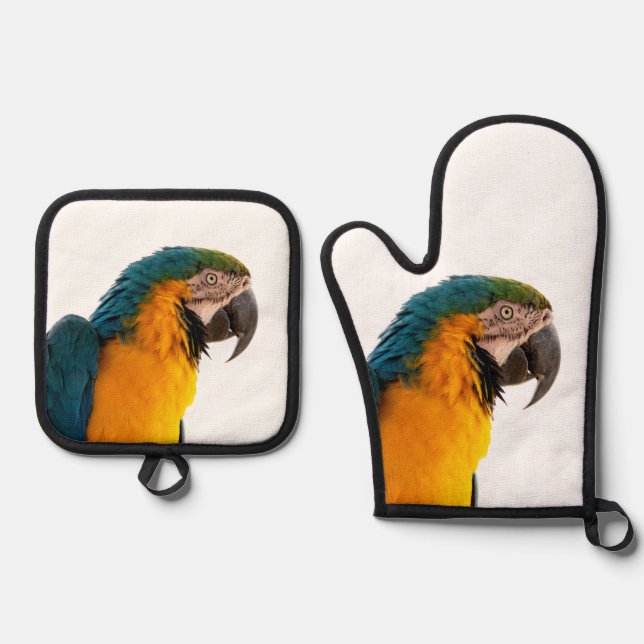 Set De Manoplas Notas de Parrot (Anverso)