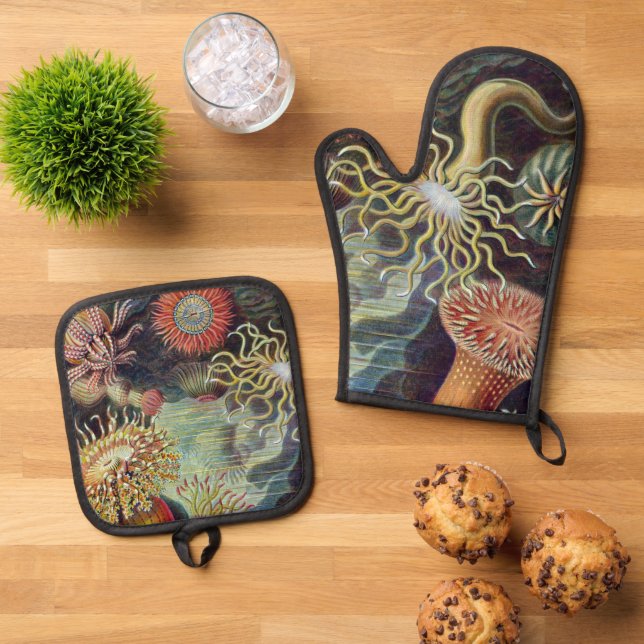 Set De Manoplas Océano marino Anemone Científico (De arriba hacia abajo)