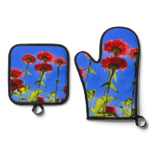 Oven Mitt y Pot Holders
