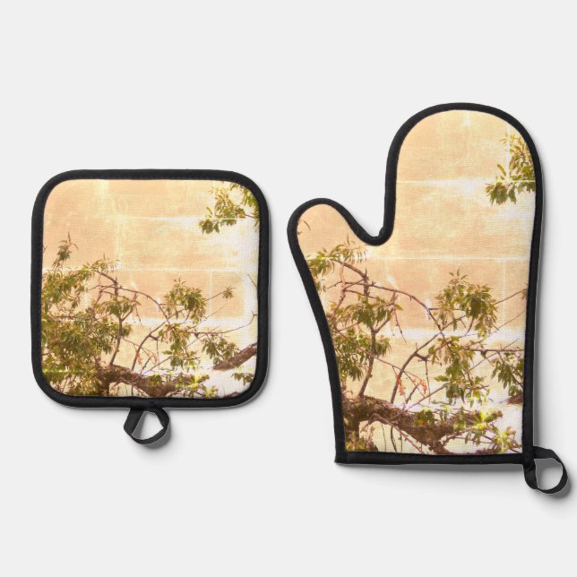 Set De Manoplas Oven Mitt y Pot Holders (Anverso)