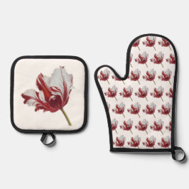 Set De Manoplas Parrot Tulip long