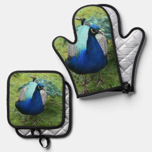 Set De Manoplas Pavo Real Regio