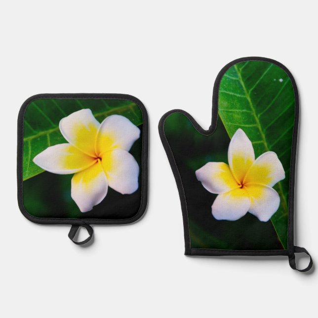 Set De Manoplas Plumerias (Anverso)