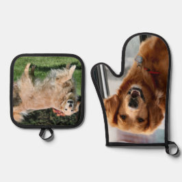 Set De Manoplas Recuperación de oro