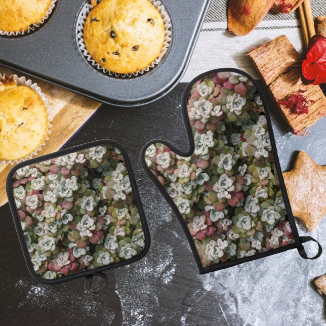 Set De Manoplas Sedum Spathulifolium Stonecrop Botánico (In Situ Kitchen)