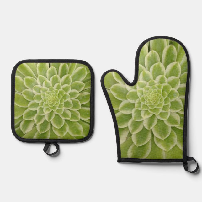 Set De Manoplas Suculento Oven Mitt y Pot Holder (Anverso)