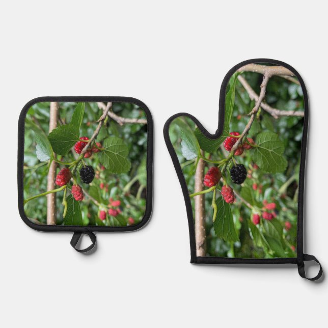Set De Manoplas Sucursal de Mullberries (Anverso)