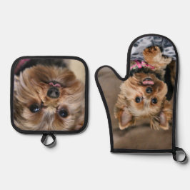 Set De Manoplas Yorkie