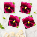 Set De Posavasos Bonito Púrpura Pansy Floral<br><div class="desc">Proteja su mesa de manchas y manchas de agua con este conjunto de 4 tiras de bebidas acrílicas que presentan la imagen de una flor Pansy de color púrpura/magenta con centro amarillo. ¡Un bonito diseño floral! Seleccione entre el estilo de la montaña rusa redondeada o cuadrada.</div>
