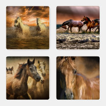 Caballos salvajes y rústicos en la naturaleza