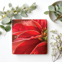 Modern Poinsettia - Christmas Hostess Gift
