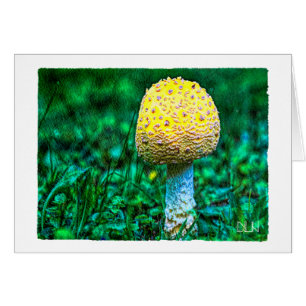 Setas amarillas/naturaleza/acuarela