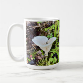 Setas blancas - 15 oz. Jarra