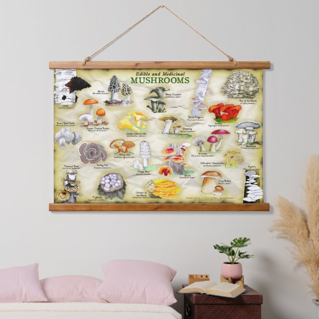 Setas de tapiz (comestibles y medicinales) (Dormitorio)