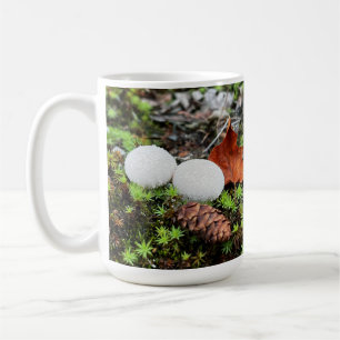 Setas de voltereta - 15 oz. Jarra