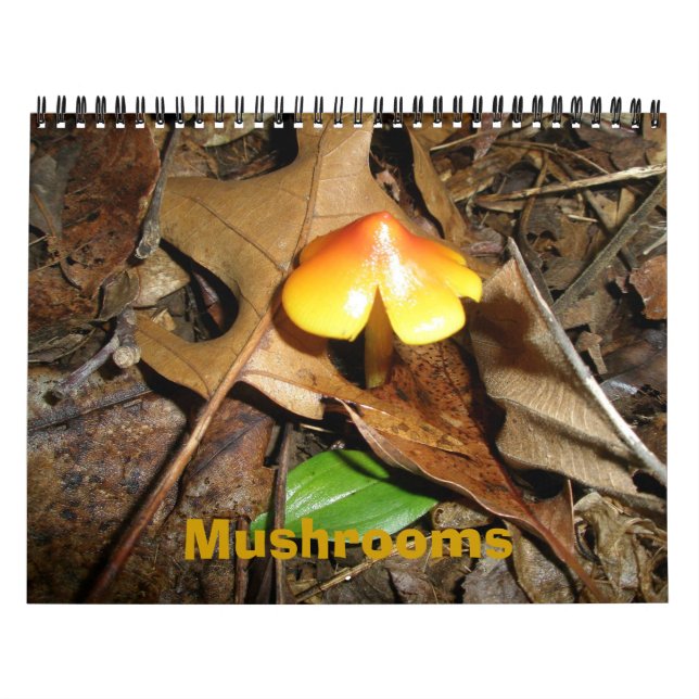 Setas del calendario (Tapa)