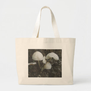 Setas en la bolsa de Stump