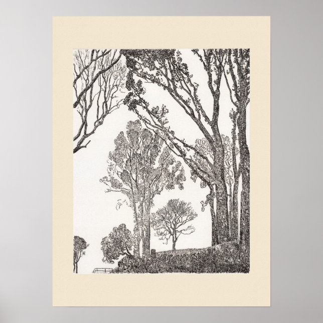 Setos Cornwall Eleanor Hughes ReStrike Póster (Frente)