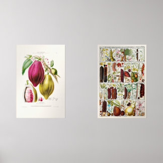 Sets De Impresiones antique　plant　unique