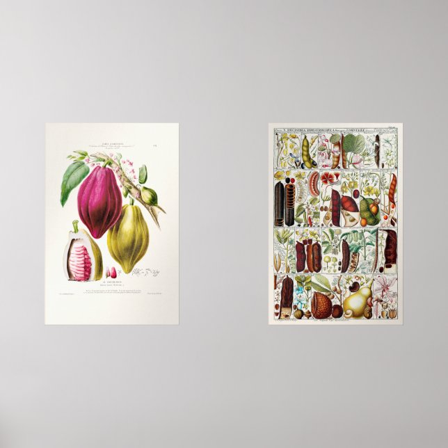 Sets De Impresiones antique　plant　unique (Anverso)