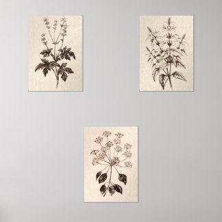 Sets De Impresiones Botanical Wall Art for Living Room
