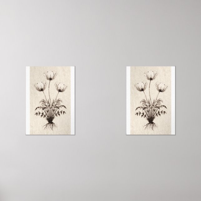 Sets De Impresiones Botanical Wall Art for Living Room (Anverso)