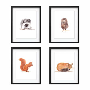 Sets De Impresiones Conjunto de animales de bosque de color agua dulce