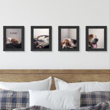 Conjunto de cuatro fotos de Kirby