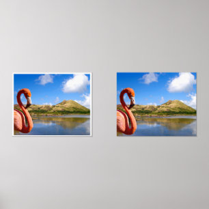 Sets De Impresiones Flamingo caribeño en St Kitts Prints